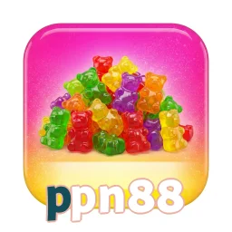 PPN88 — ikon APK